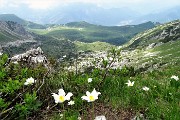 57 Vista sulla Valle dei mughi e i Piani di Bobbio